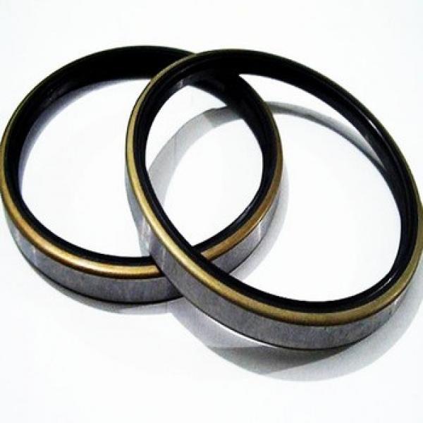 National Oil Seal Size Excavator Oil Seal DKB Rubber Metal Dust Seals For Engine #1 image