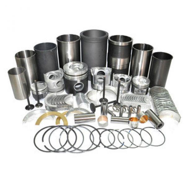 Excavator Engine Piston Liner Kit #1 image